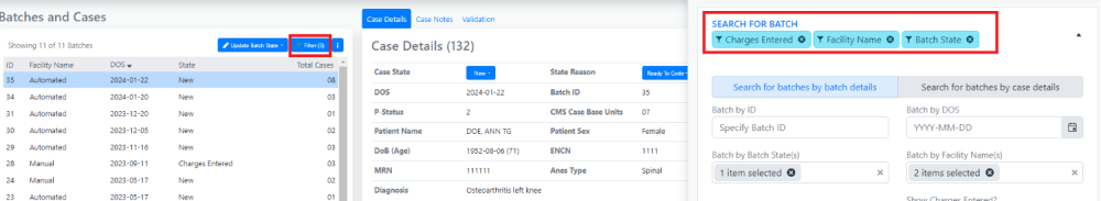 As you select filters, the number of criteria used will appear on the filter icon in the Batch and Cases Panes.