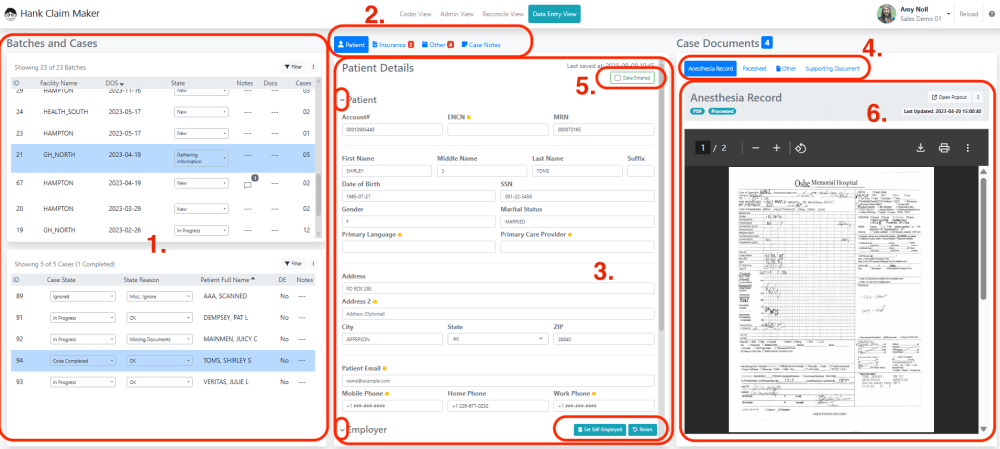Below is a view of the Data Entry View.